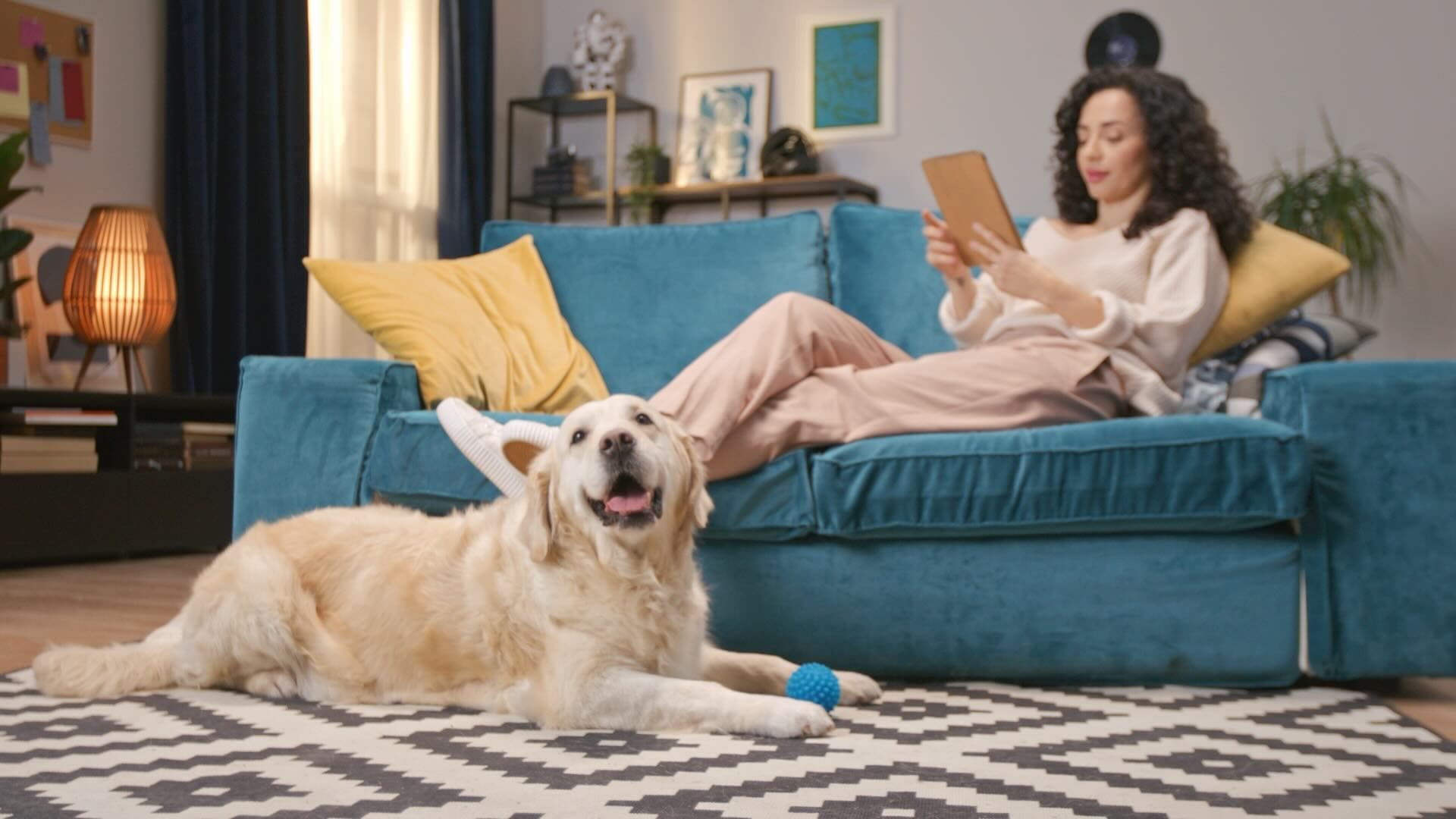 A woman sitting on her couch, using her tablet, with a dog relaxing at her feet